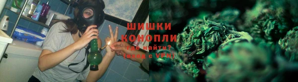 шишки Алексеевка