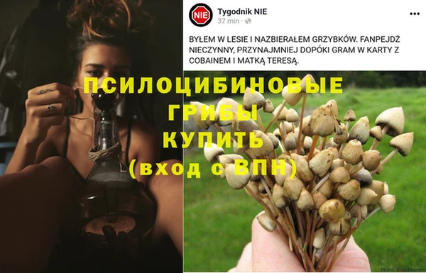 кокаин перу Алексин