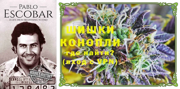 шишки Алексеевка
